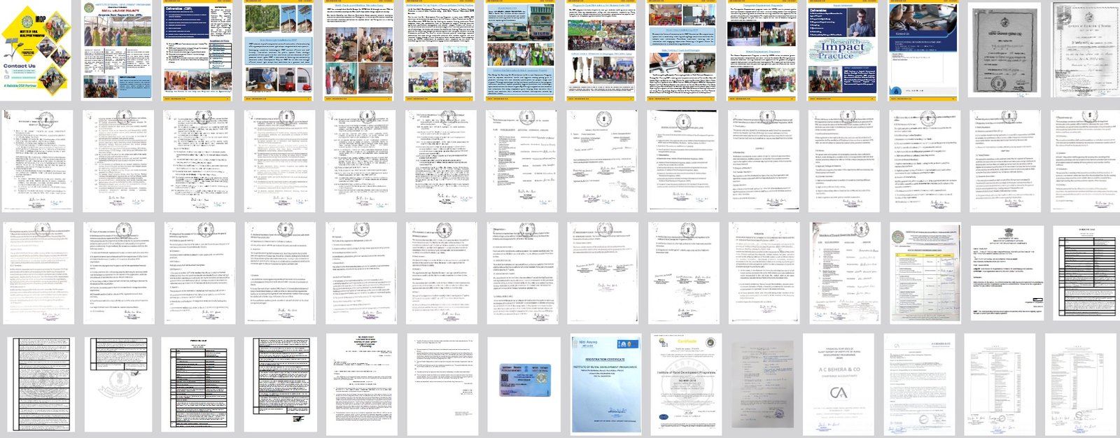 IRDP Certifications