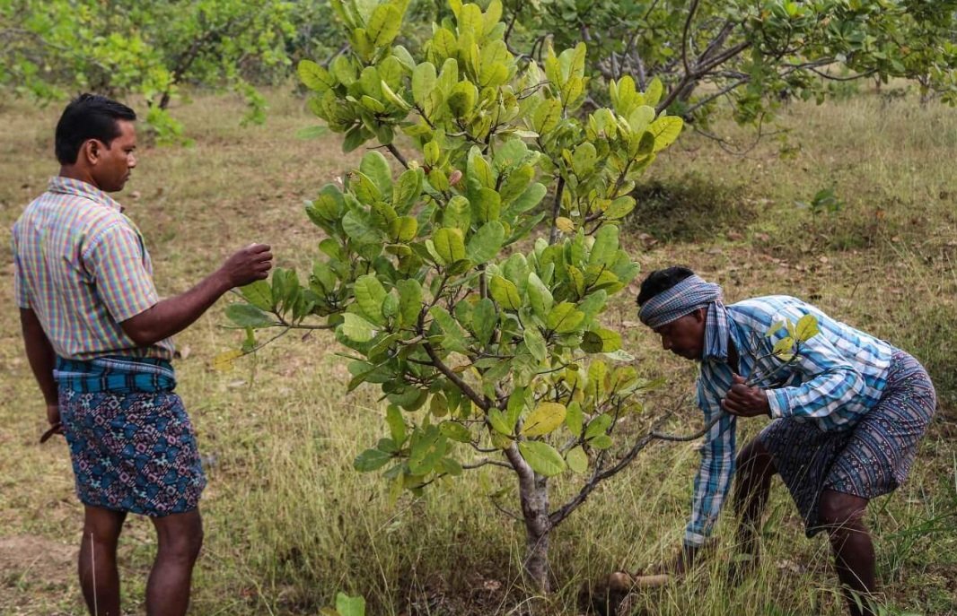 Agripreneurship & Farm-Based Livelihoods