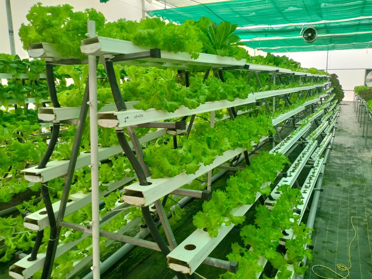 Climate-Resilient Agriculture Techniques
