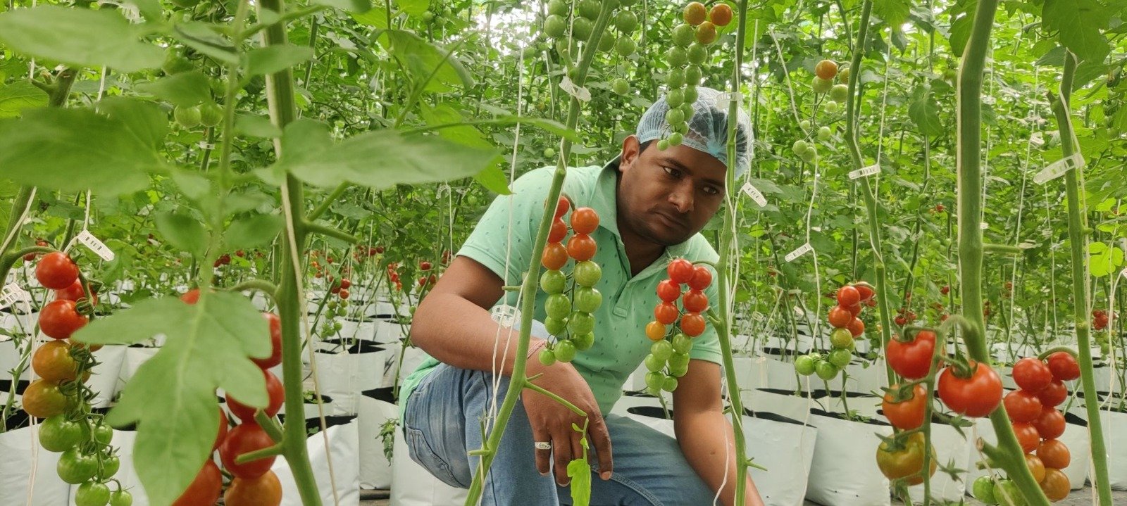 Agroforestry & Eco-Farming Corridors