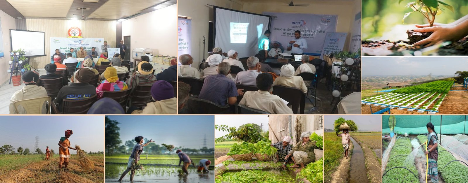 Sustainable Agriculture & Climate Action